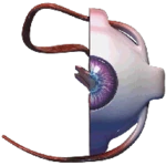 eye android application logo